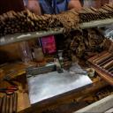 Great Cigar Encyclopedia (β)